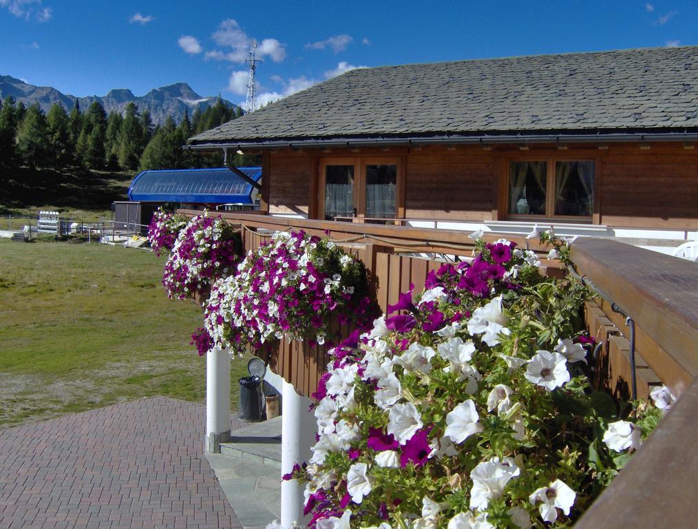 Albergo Bucaneve Campodolcino Exteriér fotografie